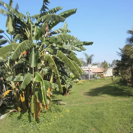 芬卡拉斯维加斯棕榈度假屋 *