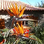 Palmeras *