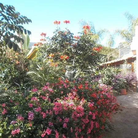 Finca Las Palmeras Holiday home