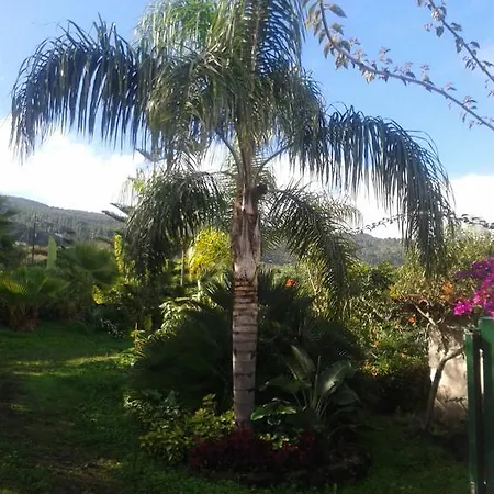 Palmeras Casa de Férias Icod De Los Vinos