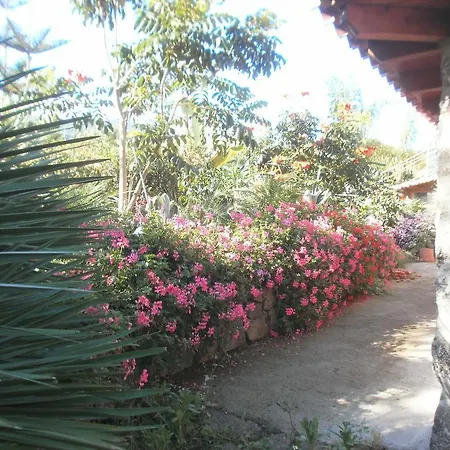Semesterbostad Finca Las Palmeras