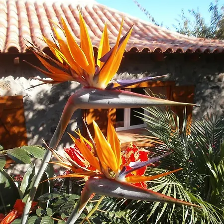 Finca Las Palmeras *