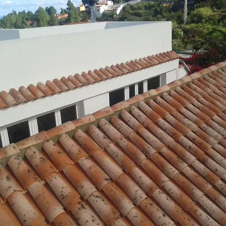 Semesterbostad Finca Las Palmeras