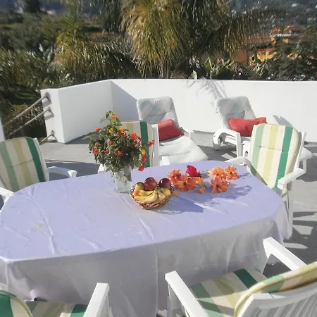 Finca Las Palmeras Holiday home *