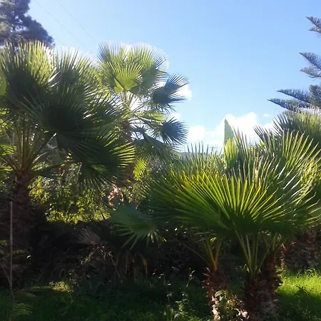 Finca Las Palmeras Holiday home *