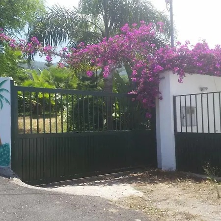 Finca Las Palmeras Semesterbostad