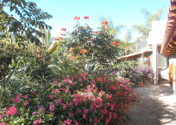 Palmeras Casa de Férias