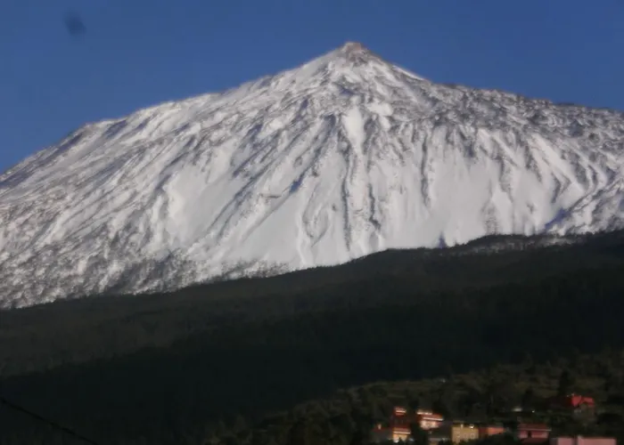 Dom wakacyjny Palmeras *