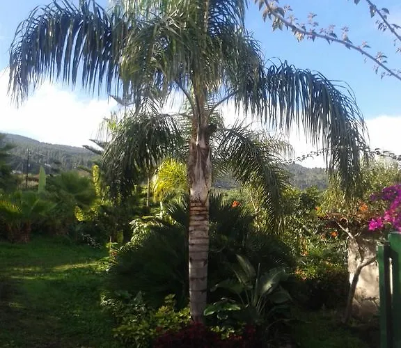 Palmeras Dom wakacyjny Icod De Los Vinos