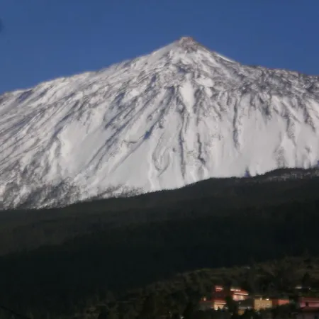 Nyaraló Palmeras *