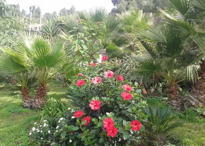 Ferienhaus Finca Las Palmeras *