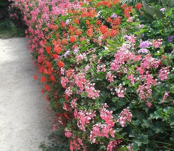 Ferienhaus Finca Las Palmeras *