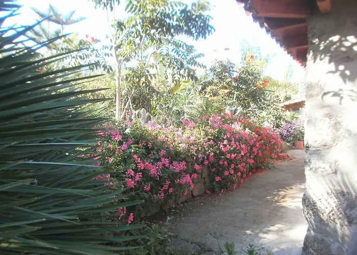 Сasa de vacaciones Palmeras