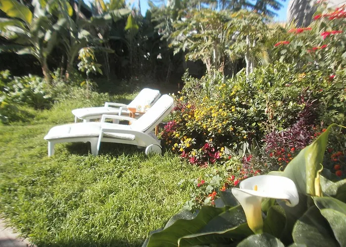 Finca Las Palmeras Icod De Los Vinos