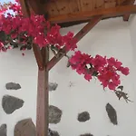 Palmeras Icod De Los Vinos