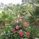 Vakantiehuis Palmeras *