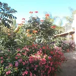 Palmeras Vakantiehuis