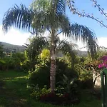 Palmeras Vakantiehuis Icod De Los Vinos