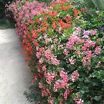 Vakantiehuis Palmeras *