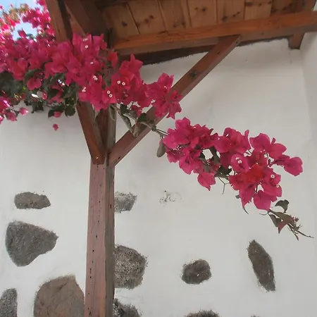 Palmeras إيكود ذي لوس فينوس