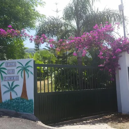 Palmeras إيكود ذي لوس فينوس