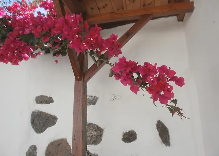 Finca Las Palmeras Icod De Los Vinos