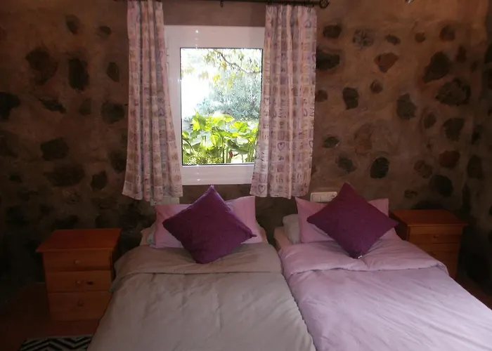 Finca Las Palmeras Holiday home