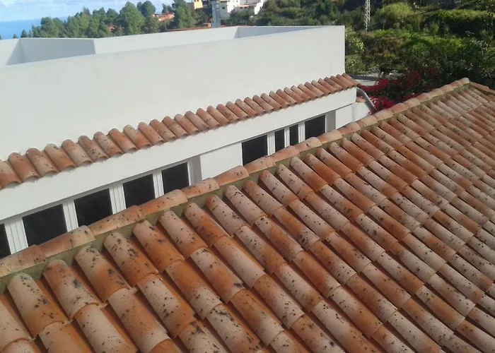 Holiday home Finca Las Palmeras