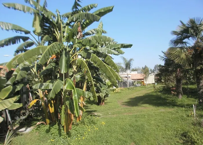 Finca Las Palmeras *