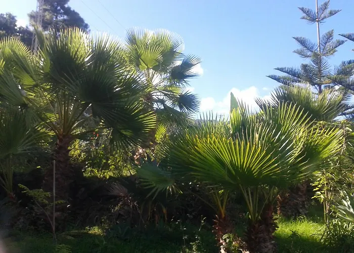 Finca Las Palmeras Holiday home *